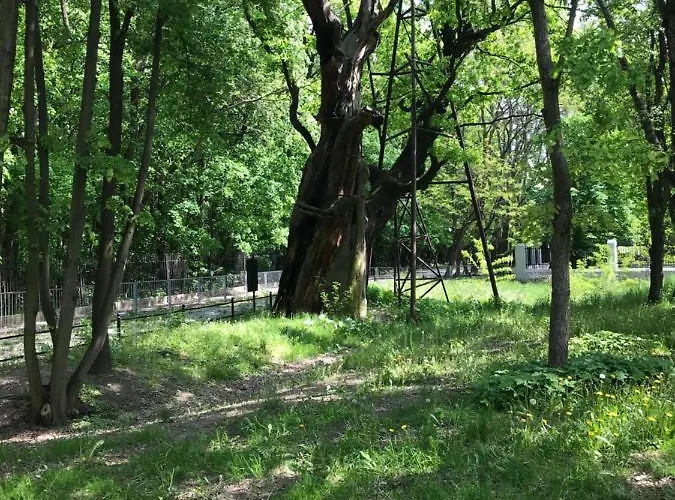 Warsaw-aparts Ursynow Natolin Varsó